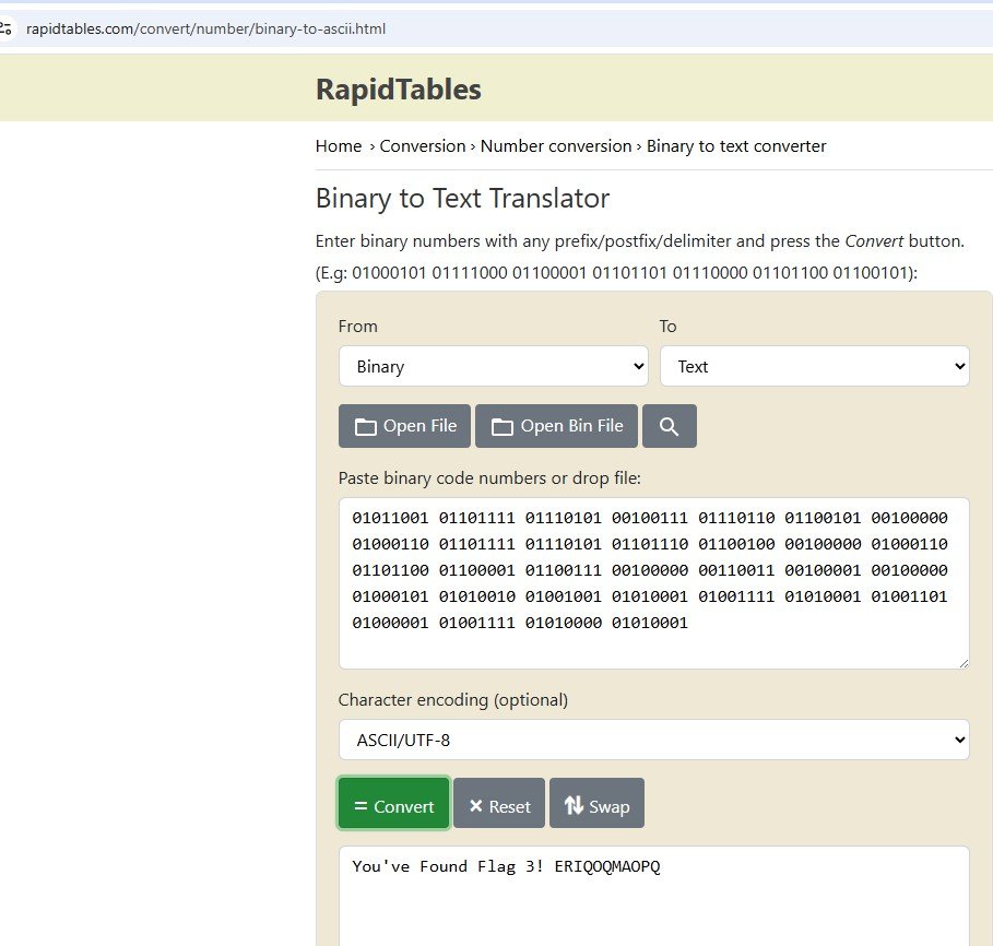 Imagen 5 Conversión binario a texto mediante RapidTables