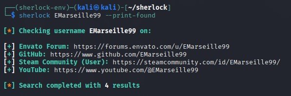 Imagen 6 Búsqueda usuario con Sherlock