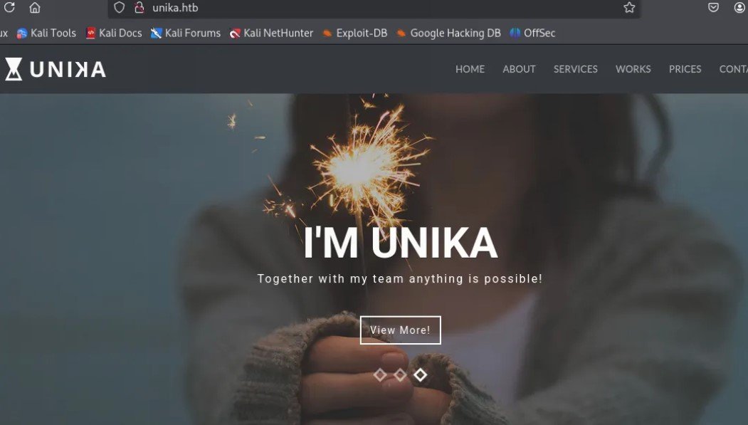Acceso a web Unika tras resolver DNS