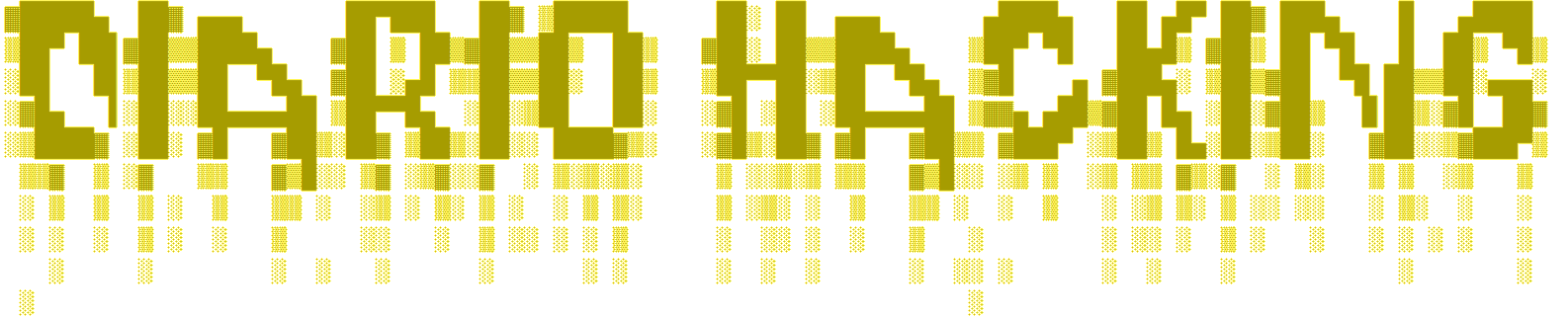 Logo Diario Hacking