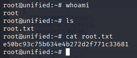 Obtenemos la flag del usuario root