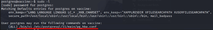 Vi es el programa que el usuario postgres puede ejecutar