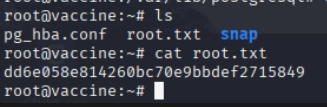 Obtenemos la flag de root