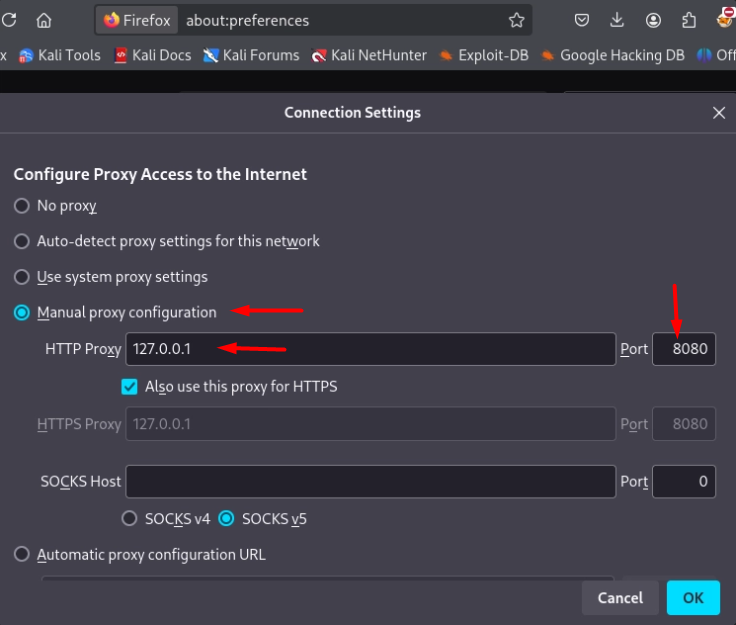 Configuración de Mozilla para interceptar peticiones con Burp Suite